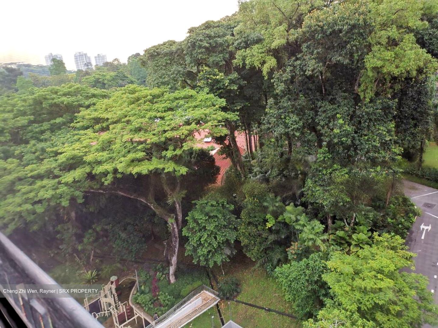 Botanic Gardens View (D10), Apartment #458057841